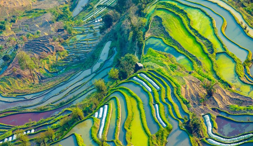 走进洛扎县TVC拍摄：解锁本地化场景与创意镜头的完美融合